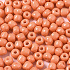 6/0 Glass Seed Beads SEED-S058-A-F422-3