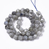 Natural Labradorite Beads Strands G-R465-33B-2