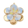 304 Stainless Steel and Acrylic and Plastic Pendants STAS-R170-04G-04-1