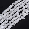 Natural White Jade Beads Strands G-F703-02-1