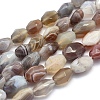 Natural Botswana Agate Beads Strands G-O170-32-1