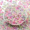 Glass Seed Beads X-SEED-K009-02B-23-2