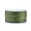 Polyester Braided Cords OCOR-I006-A01-23-1