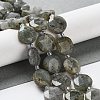 Natural Labradorite Beads Strands G-NH0004-001-2