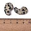 Natural Dalmatian Jasper Pendants G-S294-07B-13-3