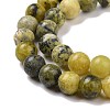 Natural Yellow Turquoise(Jasper) Beads Strands G-Q462-6mm-22-7