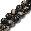 Natural Black Fossil Coral Beads Strands G-R494-A04-04-1