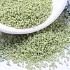 MIYUKI Delica Beads X-SEED-J020-DB2123-1