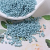 MIYUKI Delica Beads SEED-MY11-DB0217-1