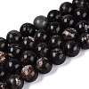 Natural Biotite Beads Strands G-Q616-01E-2