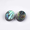 Abalone Shell/Paua Shell Beads X-SSHEL-T008-04-2