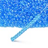 TOHO 6/0 Round Beads SEED-TR06-0163B-2