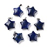 Natural Lapis Lazuli Pendants X-G-I319-01P-10-1