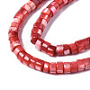 Natural Trochus Shell Beads Strands SHEL-S278-027D-3
