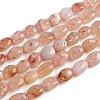 Natural Cherry Blossom Agate Stone Beads Strands G-D0002-D58-1