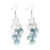 430 Stainless Steel Shell Shape Dangle Earrings EJEW-A137-03P-02-4