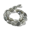 Natural Labradorite Beads Strands X-G-L164-A-34-3