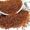 12/0 Glass Seed Beads SEED-A005-2mm-22C-1