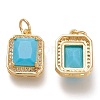 Brass Glass Charms ZIRC-F116-09D-G-2