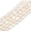 Natural Cultured Freshwater Pearl Beads Strands PEAR-P064-20H-06A-2
