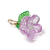 Acrylic Charms PALLOY-JF03079-4