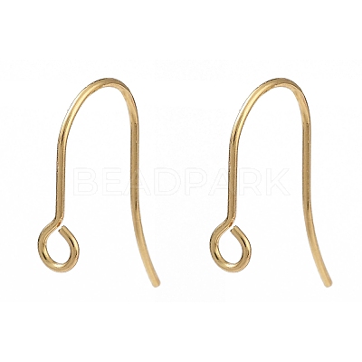 316 Surgical Stainless Steel Earring Hooks X-STAS-P162-13G-B01-1