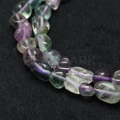 Natural Fluorite Beads Strands G-F521-48-1