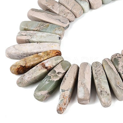 Natural Variscite Beads Strands G-Q616-06E-1