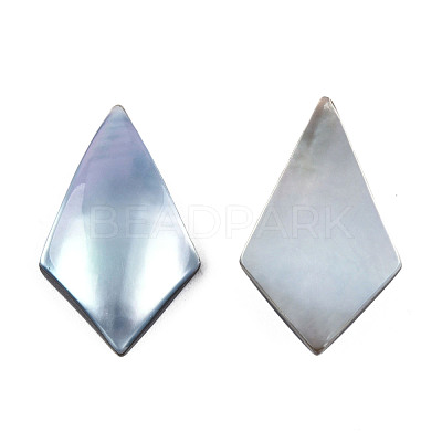 Natural Turbo Cornulus/Top Shells Cabochons SSHEL-N003-154-1