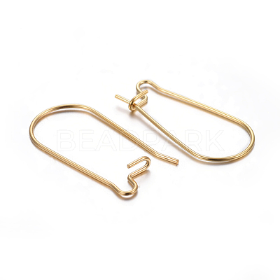 304 Stainless Steel Hoop Earring Findings STAS-P223-01G-01-1