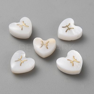 5Pcs Natural White Shell Beads LS-BSHE-TAC0004-02D-1
