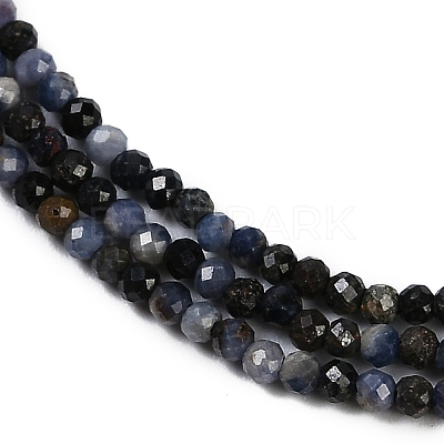 Natural Sapphire Beads Strands X-G-P553-G07-01-1