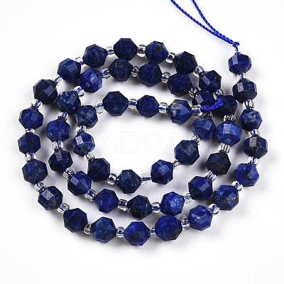Natural Lapis Lazuli Beads Strands G-O201B-25-1-1