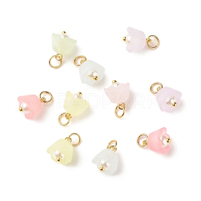 Transparent Acrylic Charms PALLOY-JF01604-01-1