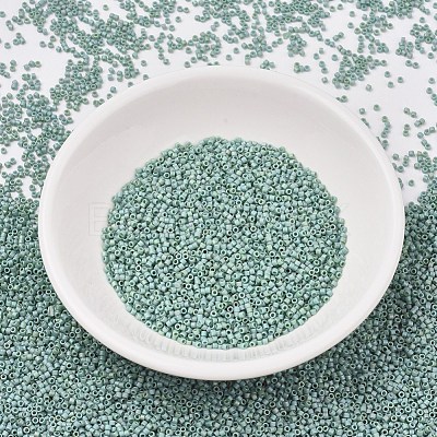 MIYUKI Delica Beads SEED-X0054-DB2313-1