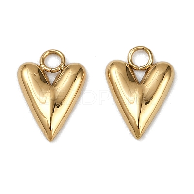 304 Stainless Steel Charms STAS-R170-01G-04-1