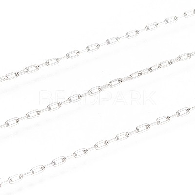 Tarnish Resistant 304 Stainless Steel Paperclip Chains CHS-F010-01A-P-1