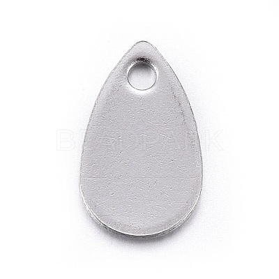 Tarnish Resistant Stainless Steel Charms STAS-L211-02B-P-1