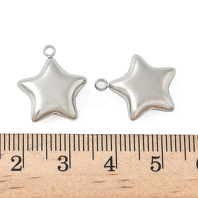 304 Stainless Steel Pendants STAS-S186-01A-P-1