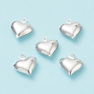 304 Stainless Steel Pendants STAS-H413-16S-1