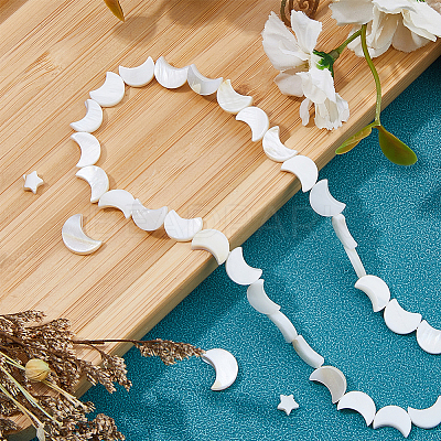 3 Strands 2 Styles Natural Freshwater Shell Beads Strands SHEL-HS0001-10-1