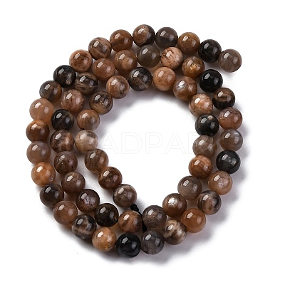 Natural Black Moonstone Beads Strands G-A219-A01-02-1