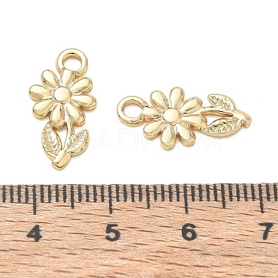 304 Stainless Steel Pendants SA-CBA3037-24G-01-1