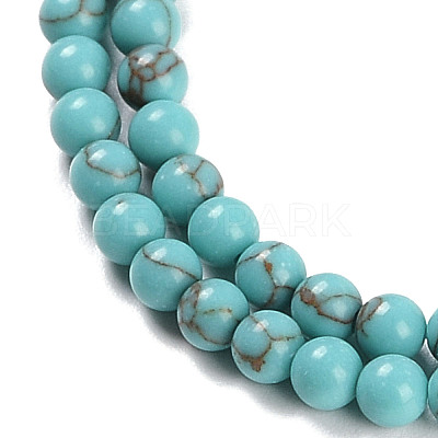 Synthetic Turquoise Beads Strands G-U004-02P-1
