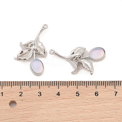 Alloy & Resin Pendants FIND-Z053-04A-01-1
