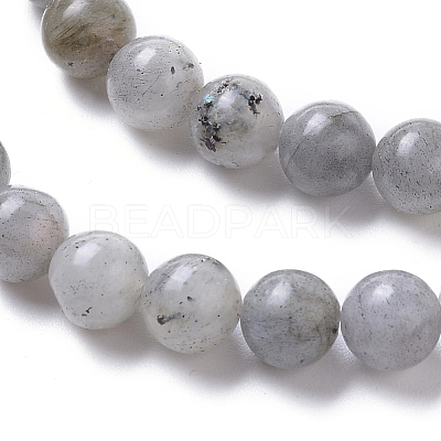 Natural Labradorite Beads Strands G-I261-D02-6mm-1