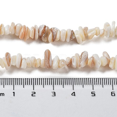 Natural Shell Beads Strands G-F328-45-1