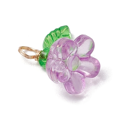 Acrylic Charms PALLOY-JF03079-1