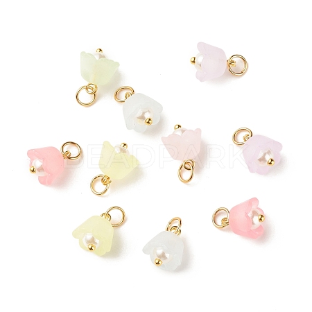 Transparent Acrylic Charms PALLOY-JF01604-01-1