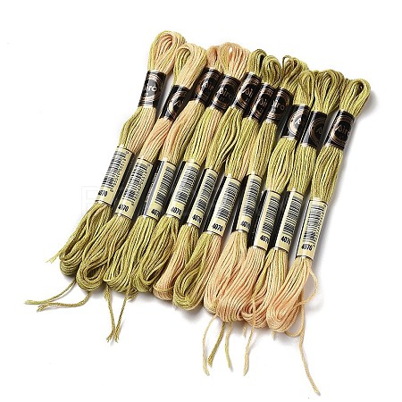 10 Skeins 6-Ply Polyester Embroidery Floss OCOR-K006-A20-1